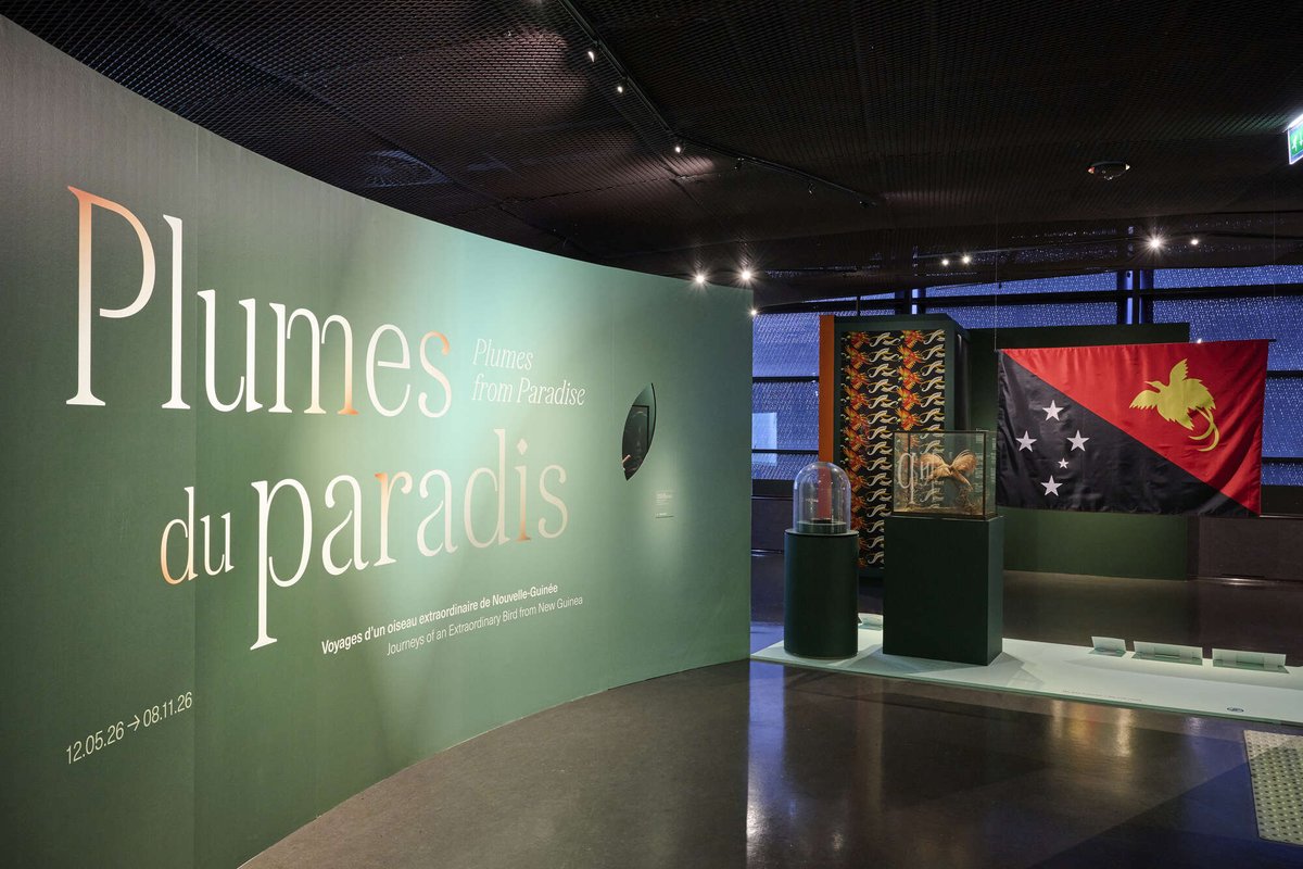 Plumes du Paradis – Musée du quai Branly